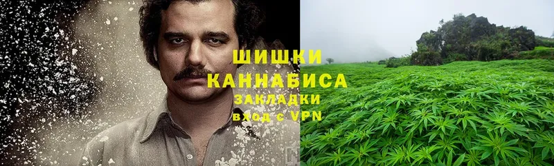 Бошки Шишки THC 21%  купить   Касли 